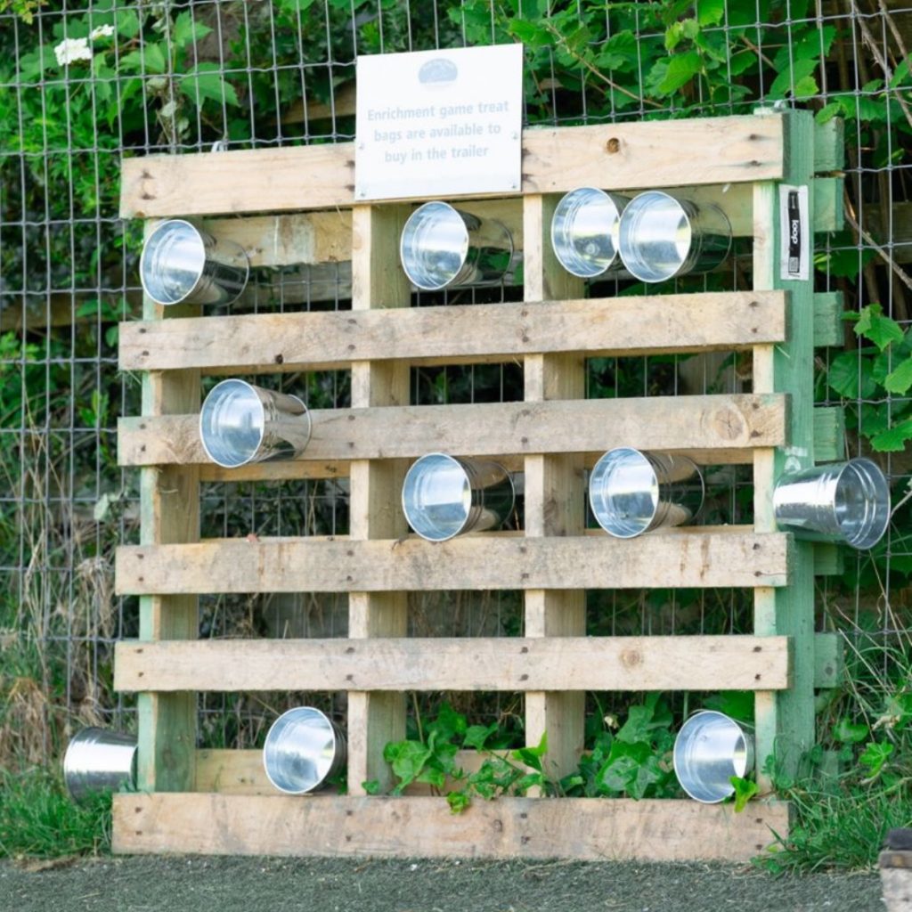 Screenshot 2025-07-09 at 16.58.23