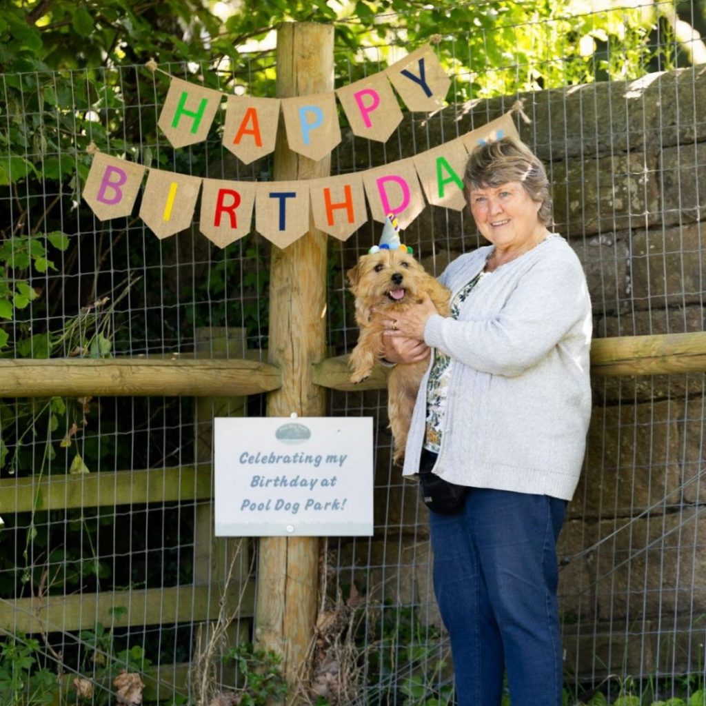 Screenshot 2025-07-09 at 17.03.47